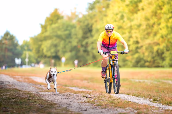 Libová Jízda 2026 💚 Autumn — Sobota – BKJ