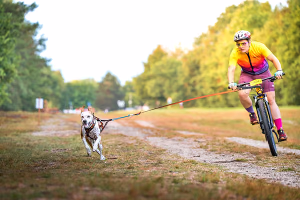 Libová Jízda 2026 💚 Autumn — Sobota – BKJ