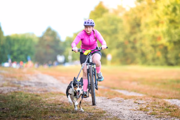 Libová Jízda 2026 💚 Autumn — Sobota – BKJ