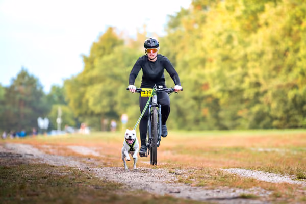 Libová Jízda 2026 💚 Autumn — Sobota – BKJ