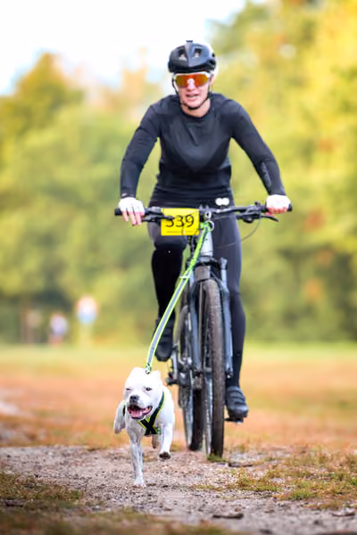 Libová Jízda 2026 💚 Autumn — Sobota – BKJ
