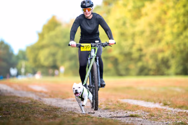 Libová Jízda 2026 💚 Autumn — Sobota – BKJ
