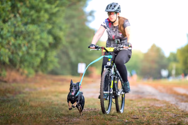 Libová Jízda 2026 💚 Autumn — Sobota – BKJ