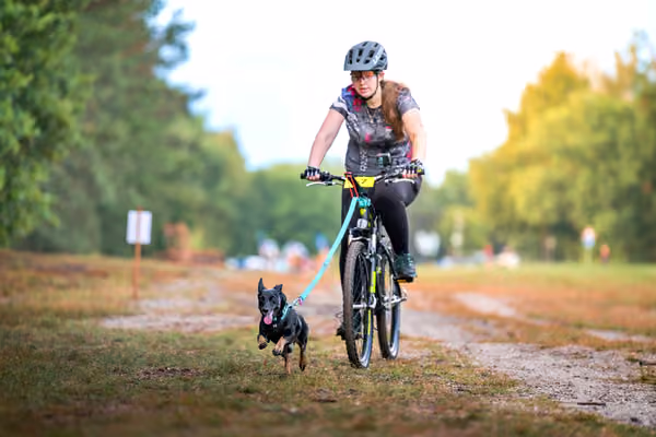 Libová Jízda 2026 💚 Autumn — Sobota – BKJ