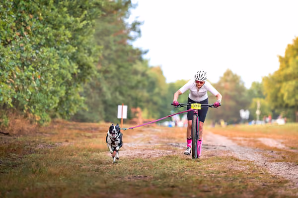 Libová Jízda 2026 💚 Autumn — Sobota – SC