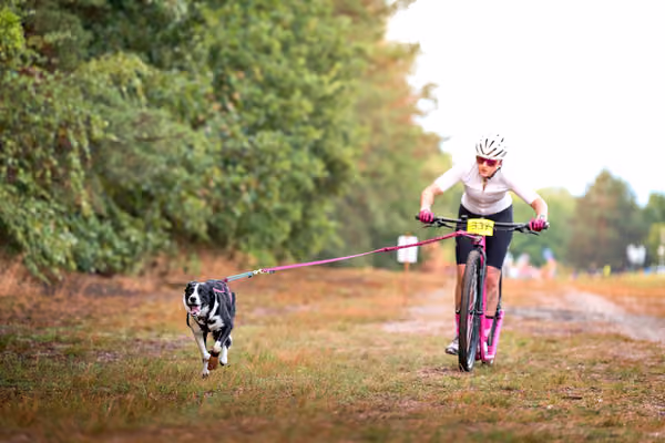 Libová Jízda 2026 💚 Autumn — Sobota – SC
