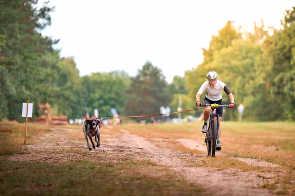Libová Jízda 2026 💚 Autumn — Sobota – BKJ