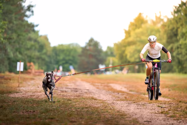 Libová Jízda 2026 💚 Autumn — Sobota – BKJ