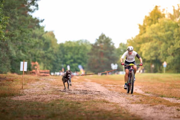 Libová Jízda 2026 💚 Autumn — Sobota – BKJ
