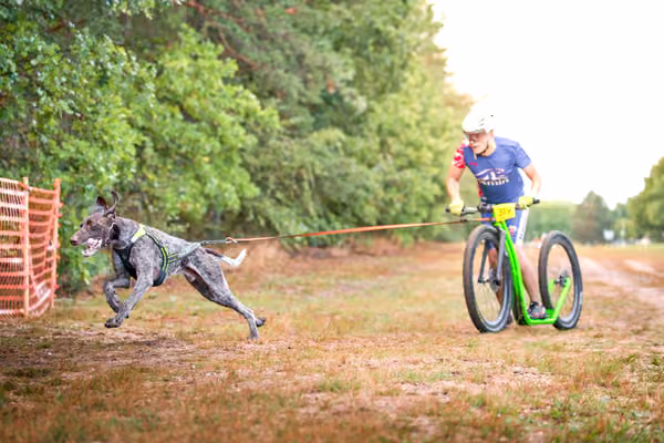 Libová Jízda 2026 💚 Autumn — Sobota – SC