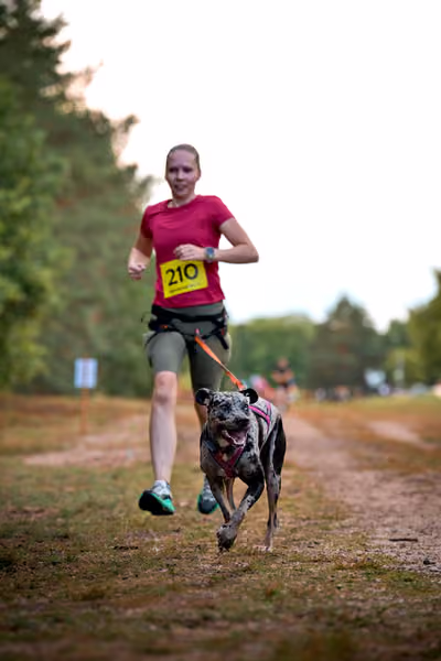 Libová Jízda 2026 💚 Autumn — Sobota – CC