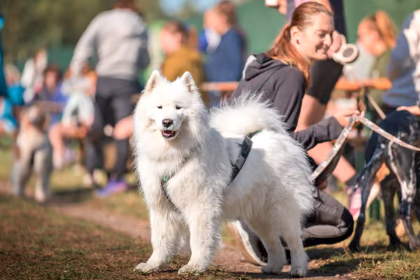 Libová Jízda 2026 💚 Autumn — Sobota – Ostatní