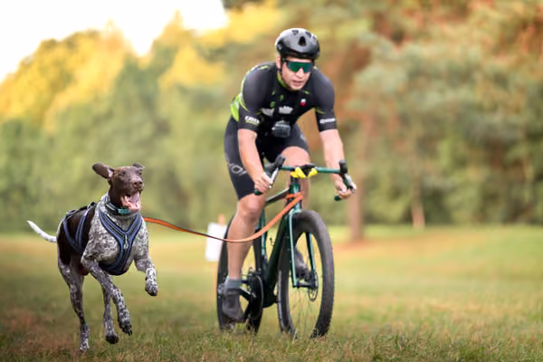 Libová Jízda 2026 💚 Autumn — Neděle – BKJ