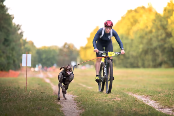 Libová Jízda 2026 💚 Autumn — Neděle – BKJ
