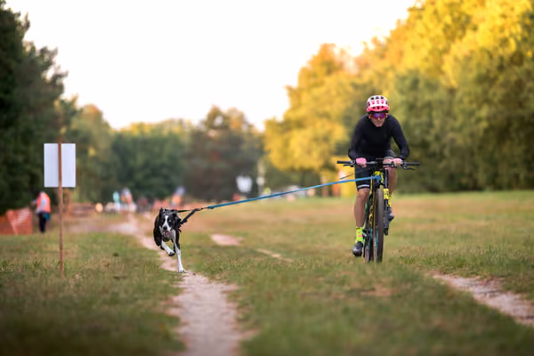 Libová Jízda 2026 💚 Autumn — Neděle – BKJ