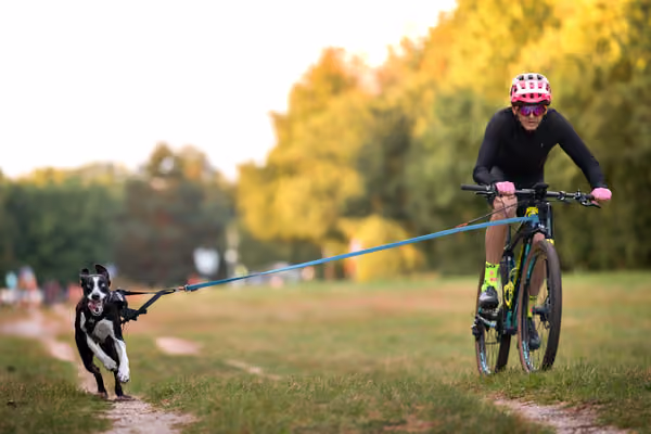 Libová Jízda 2026 💚 Autumn — Neděle – BKJ