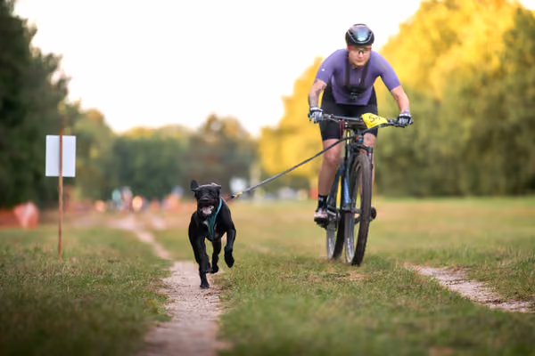 Libová Jízda 2026 💚 Autumn — Neděle – BKJ