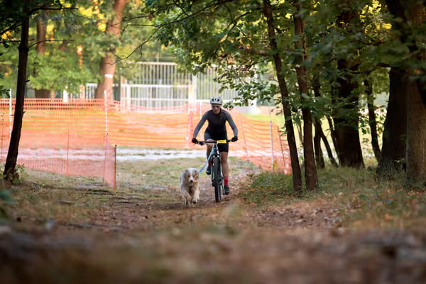 Libová Jízda 2026 💚 Autumn — Neděle – BKJ