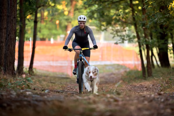 Libová Jízda 2026 💚 Autumn — Neděle – BKJ