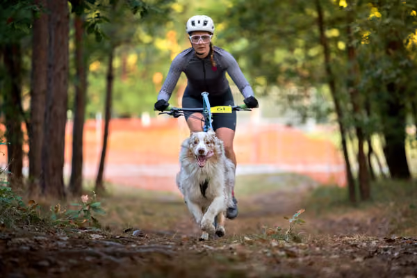 Libová Jízda 2026 💚 Autumn — Neděle – BKJ