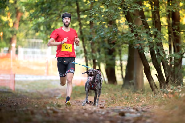 Libová Jízda 2026 💚 Autumn — Neděle – CC