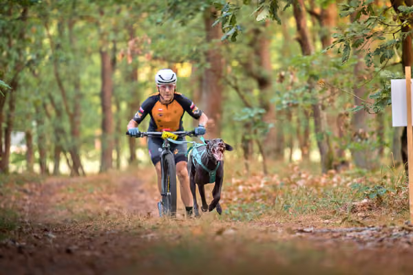 Libová Jízda 2026 💚 Autumn — Neděle – SC