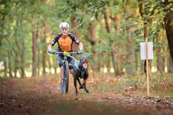 Libová Jízda 2026 💚 Autumn — Neděle – SC