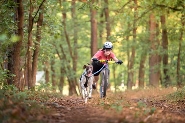 Libová Jízda 2026 💚 Autumn — Neděle – SC