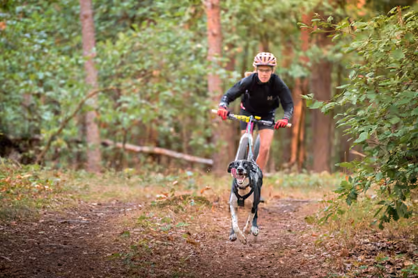 Libová Jízda 2026 💚 Autumn — Neděle – SC