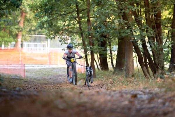 Libová Jízda 2026 💚 Autumn — Neděle – SC