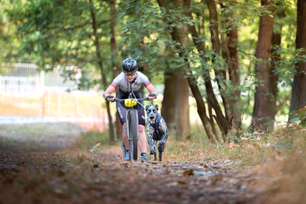Libová Jízda 2026 💚 Autumn — Neděle – SC