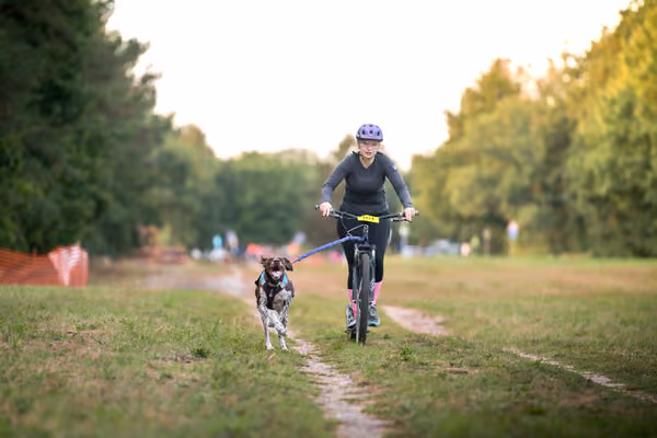 Libová Jízda 2026 💚 Autumn — Neděle – SC