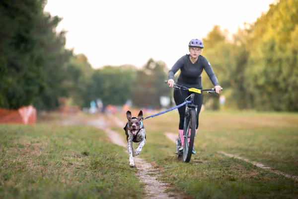 Libová Jízda 2026 💚 Autumn — Neděle – SC