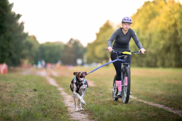 Libová Jízda 2026 💚 Autumn — Neděle – SC