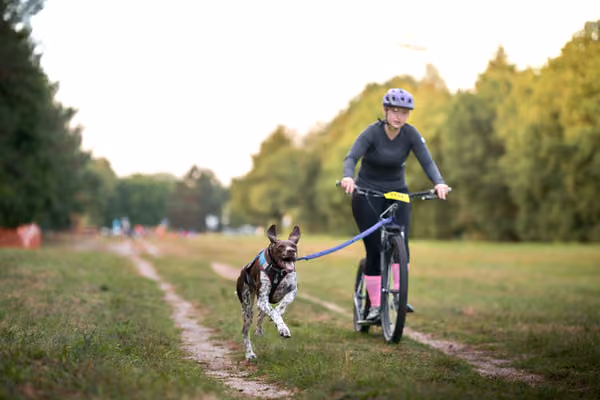 Libová Jízda 2026 💚 Autumn — Neděle – SC