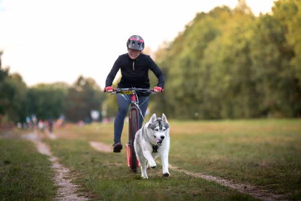 Libová Jízda 2026 💚 Autumn — Neděle – SC