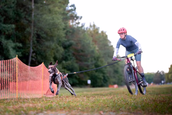 Libová Jízda 2026 💚 Autumn — Neděle – BKJ