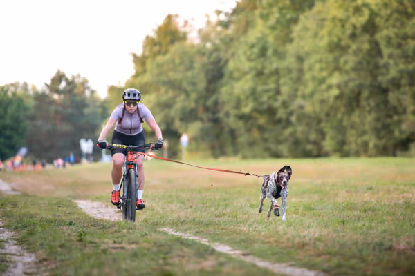 Libová Jízda 2026 💚 Autumn — Neděle – BKJ