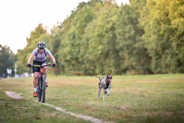 Libová Jízda 2026 💚 Autumn — Neděle – BKJ