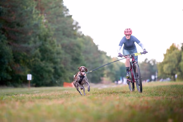 Libová Jízda 2026 💚 Autumn — Neděle – BKJ