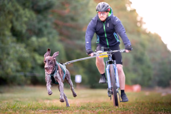 Libová Jízda 2026 💚 Autumn — Neděle – BKJ