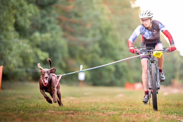 Libová Jízda 2026 💚 Autumn — Neděle – BKJ