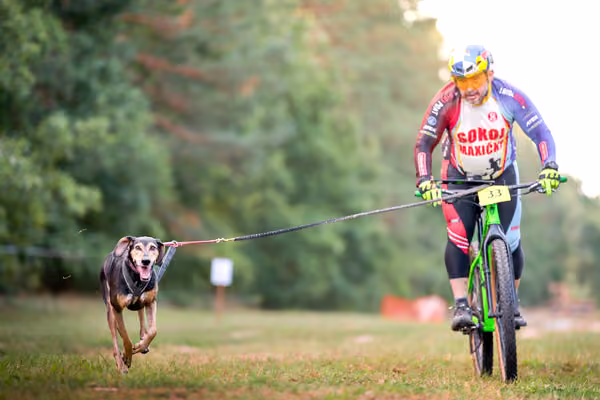 Libová Jízda 2026 💚 Autumn — Neděle – BKJ