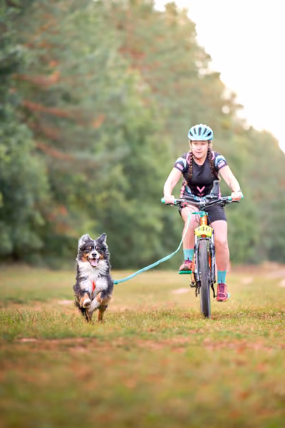 Libová Jízda 2026 💚 Autumn — Neděle – BKJ