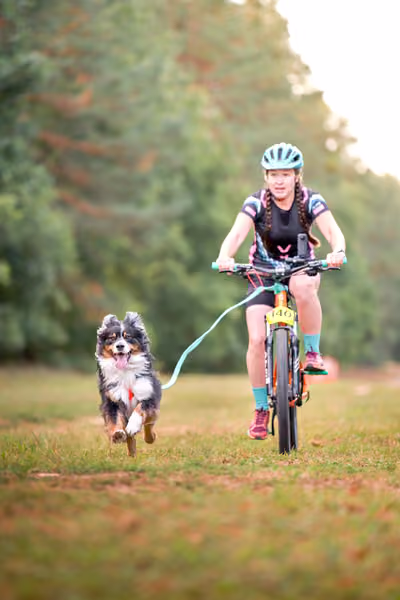 Libová Jízda 2026 💚 Autumn — Neděle – BKJ
