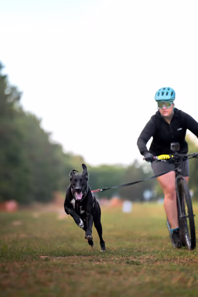 Libová Jízda 2026 💚 Autumn — Neděle – SC