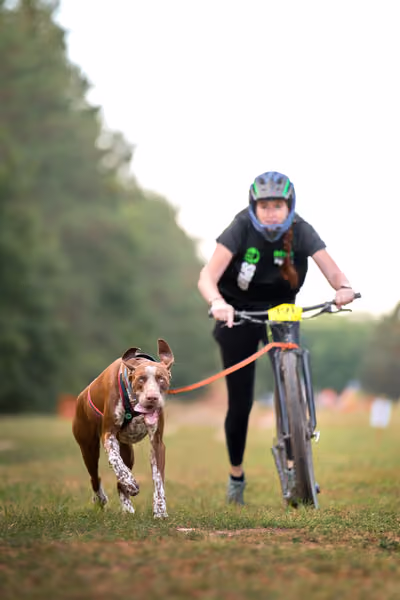 Libová Jízda 2026 💚 Autumn — Neděle – SC