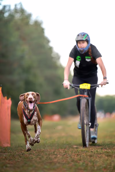 Libová Jízda 2026 💚 Autumn — Neděle – SC