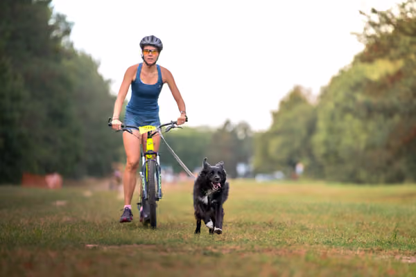 Libová Jízda 2026 💚 Autumn — Neděle – SC