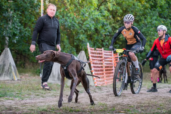 Libová Jízda 2026 💚 Autumn — Neděle – Cílovky
